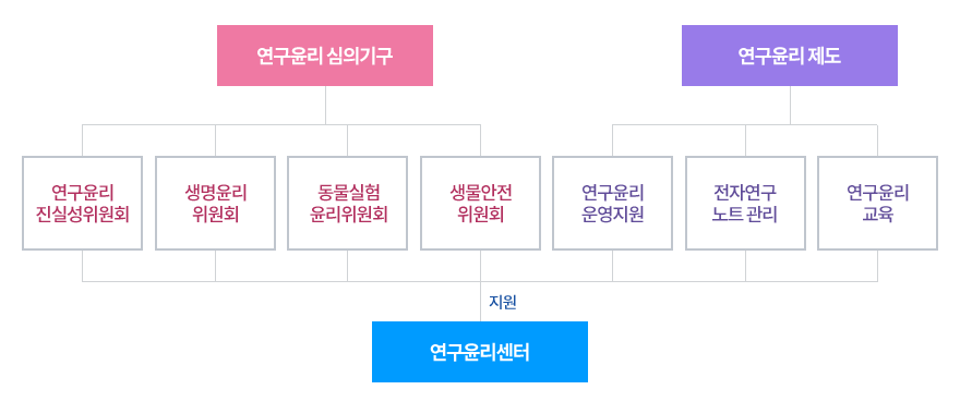 연구윤리지원단 역할